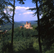 Erlenbach, Burg Berwartstein